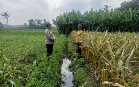 Polisi Dampingi Petani Kelola Lahan, Polres Malang Dukung Asta Cita