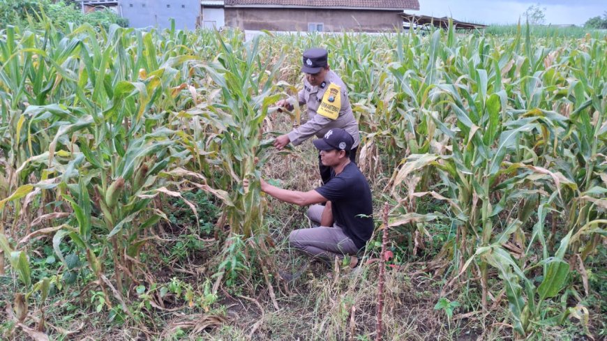 Polres Malang Perkuat Sinergi Desa untuk Dukung Pasokan Pangan
